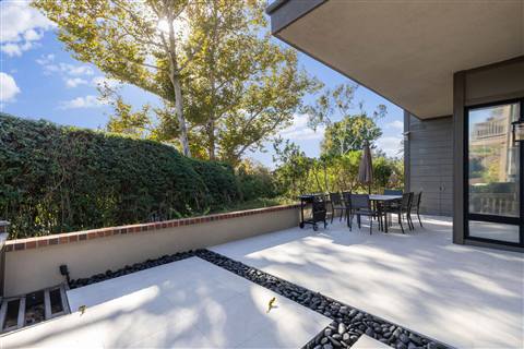 Terrace and garden