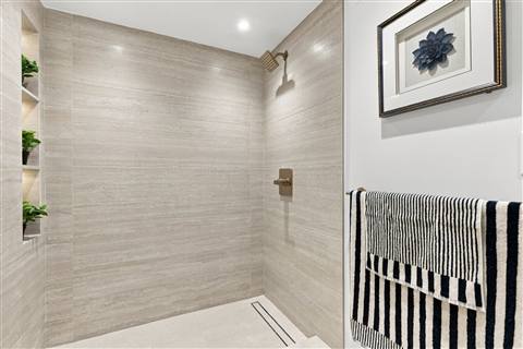 Guest shower detail