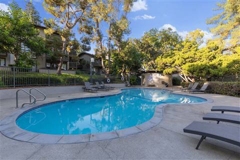 Community pool